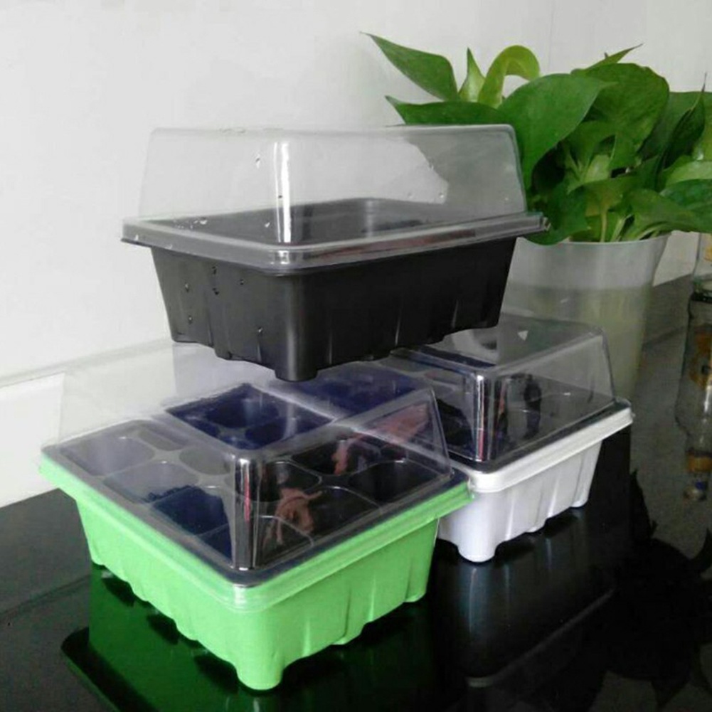 Bonsai Garden Grow Kit - Seed Starter Kit 12 Cells Seedling