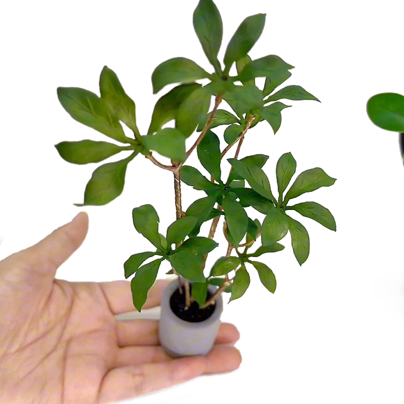 Bonsai Garden Pot - 1:6 Dollhouse Miniature Potted Plants Model