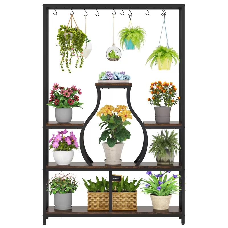 Home Garden Bonsai Display Dec - Bonsai Garden Wall 评论和价格