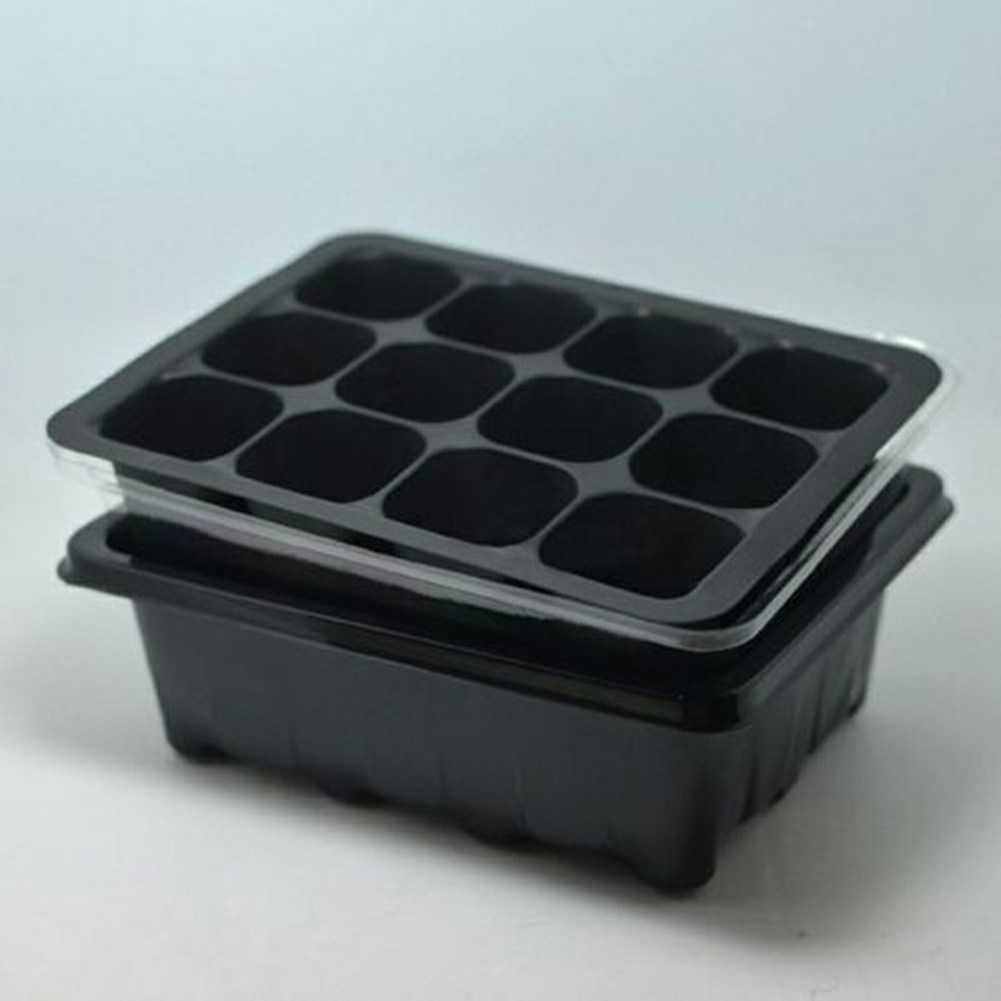 Seed Starter Kit 12 Cells Seed - Bonsai Garden Grow Kit 评论和价格