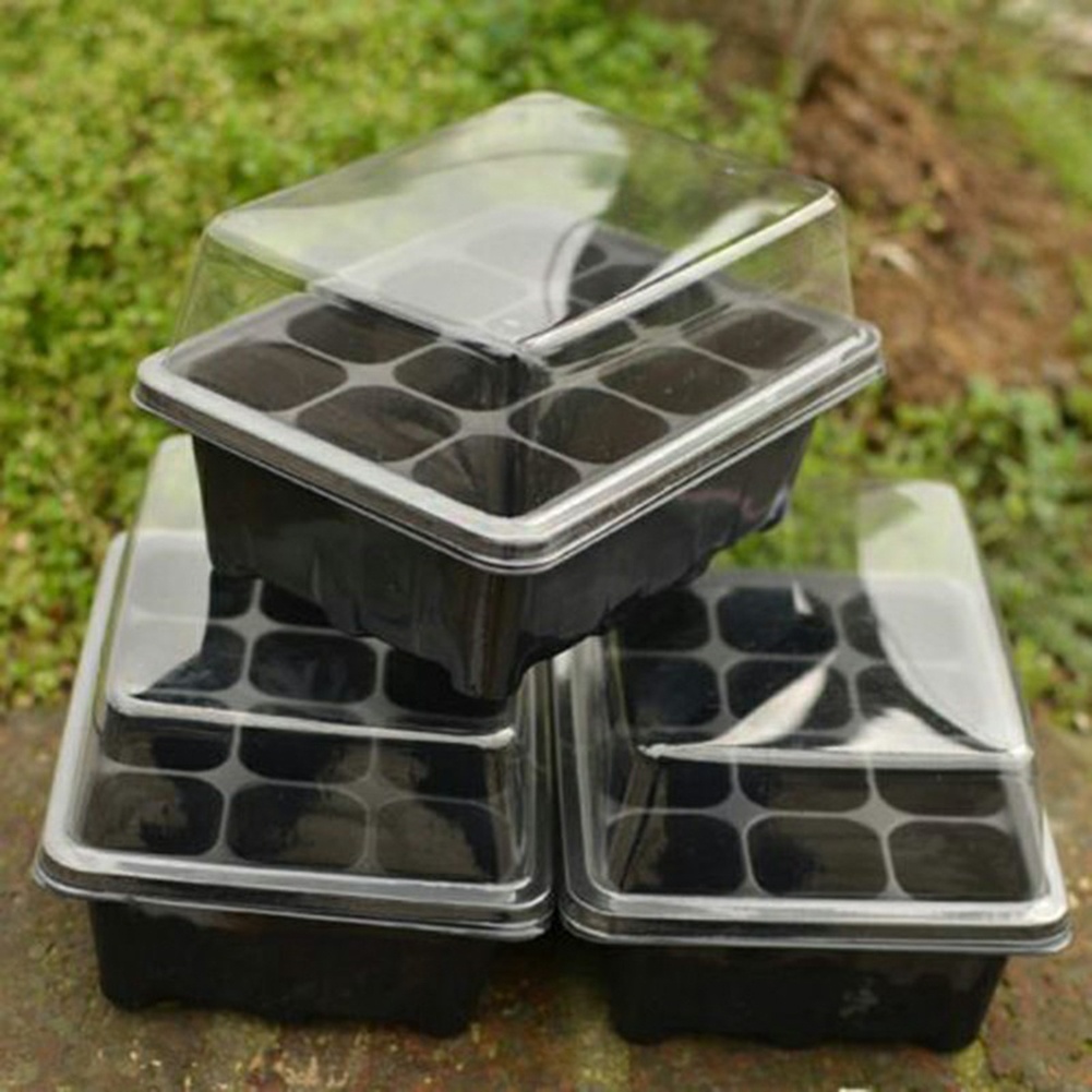Seed Starter Kit 12 Cells Seed - Bonsai Garden Grow Kit 评论和价格