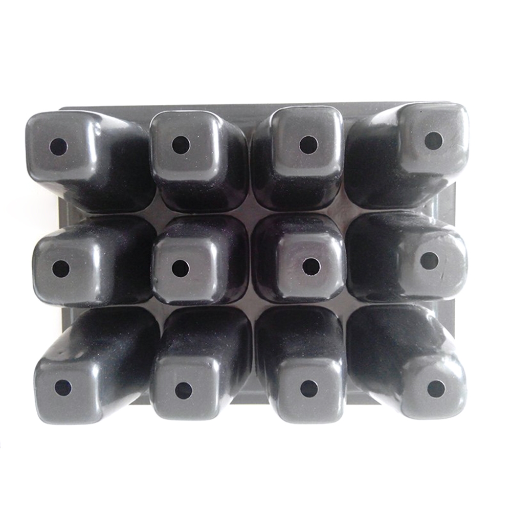 Seed Starter Kit 12 Cells Seed - Bonsai Garden Grow Kit 评论和价格