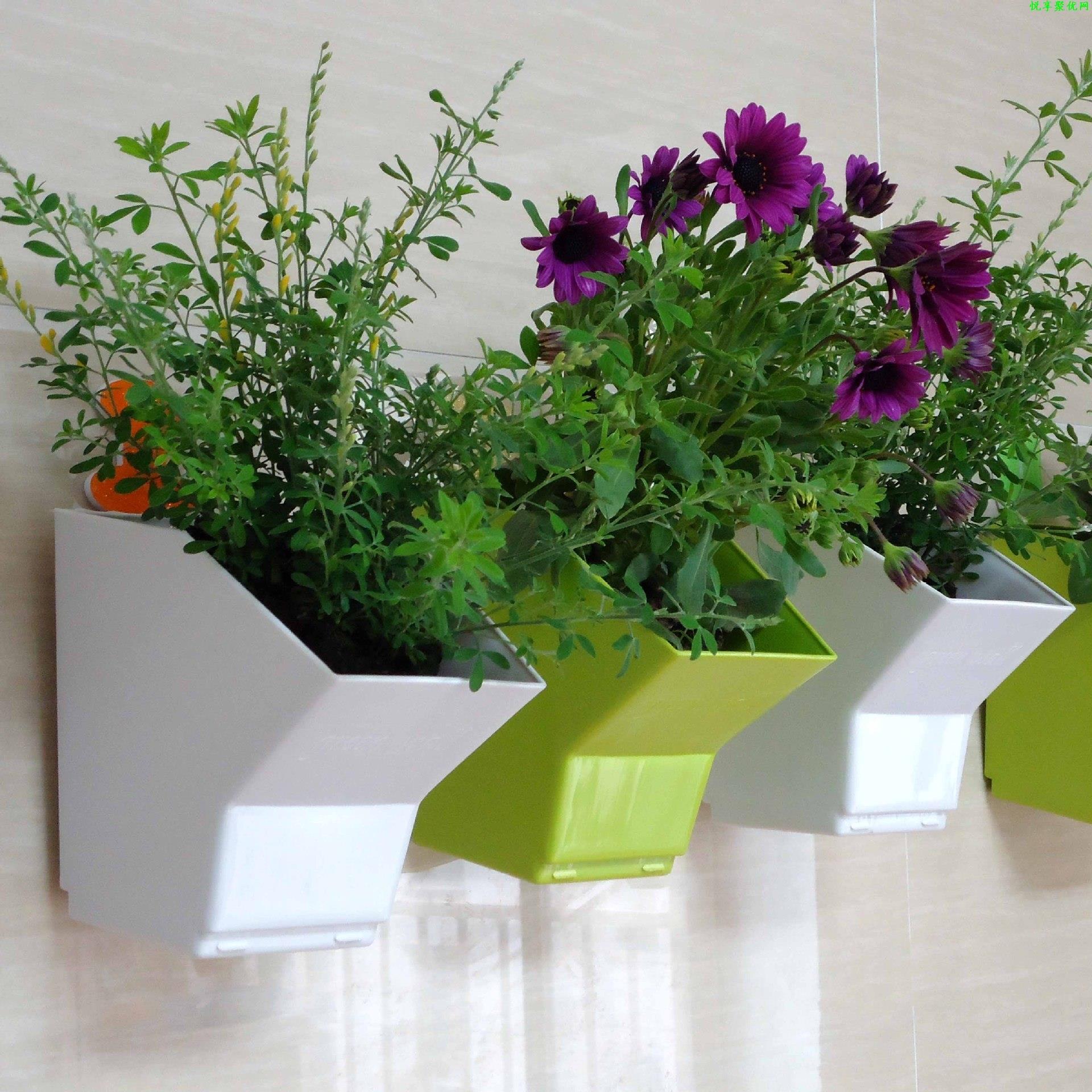 2 pcs Wall Hanging Planter Flo - Bonsai Garden Wall 评论和价格