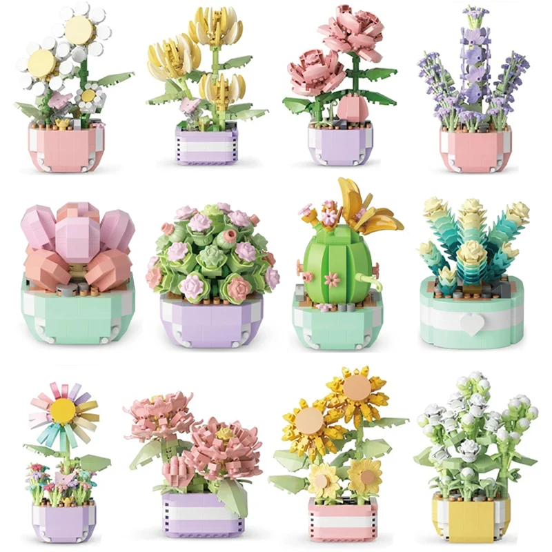 Flower Succulents Building Blo - Bonsai Garden Pot 评论和价格