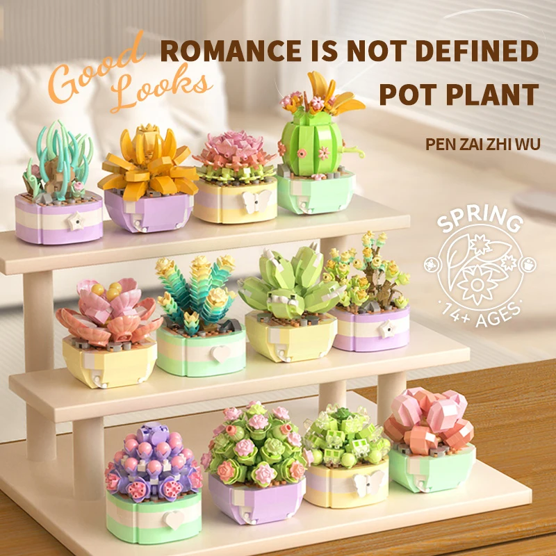 Flower Succulents Building Blo - Bonsai Garden Pot 评论和价格