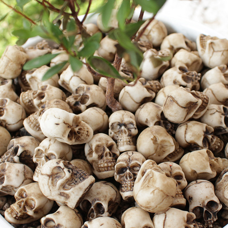● 20pcs Mini Skulls Halloween  - Bonsai Garden Ideas 评论和价格