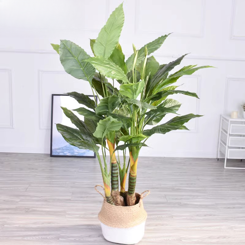 Artificial Plant White Palm An - Bonsai Exhibition Garden 评论和价格