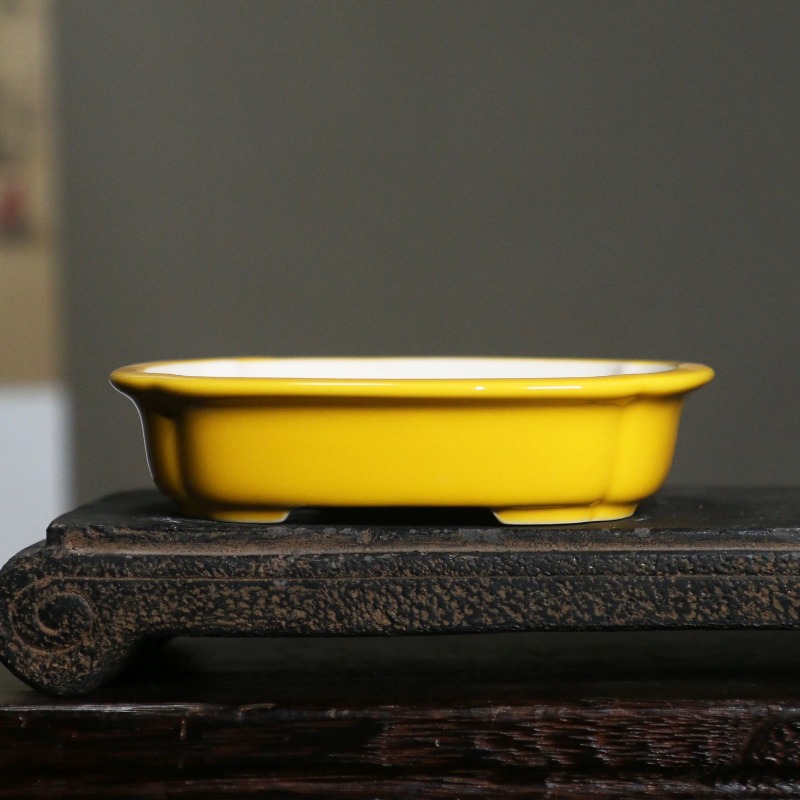Porcelain Rectangle Bonsai Pot - Bonsai Garden China 评论和价格