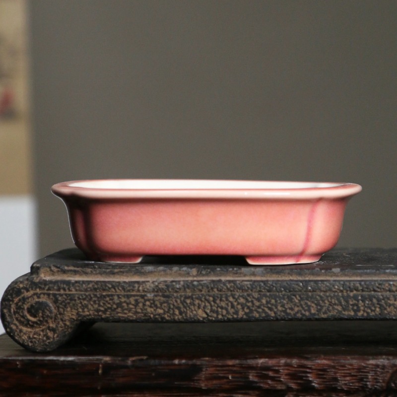 Porcelain Rectangle Bonsai Pot - Bonsai Garden China 评论和价格