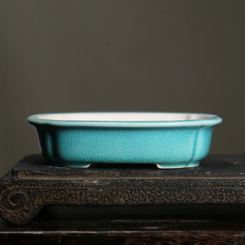 Porcelain Rectangle Bonsai Pot - Bonsai Garden China 评论和价格