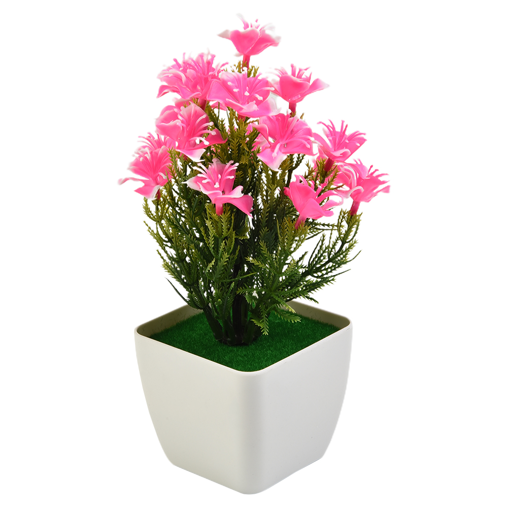 High Quality New Accessories A - Bonsai Garden China 评论和价格