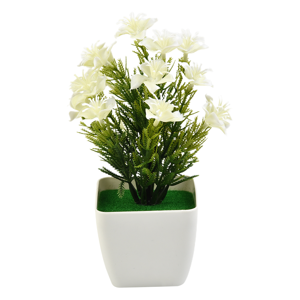 High Quality New Accessories A - Bonsai Garden China 评论和价格
