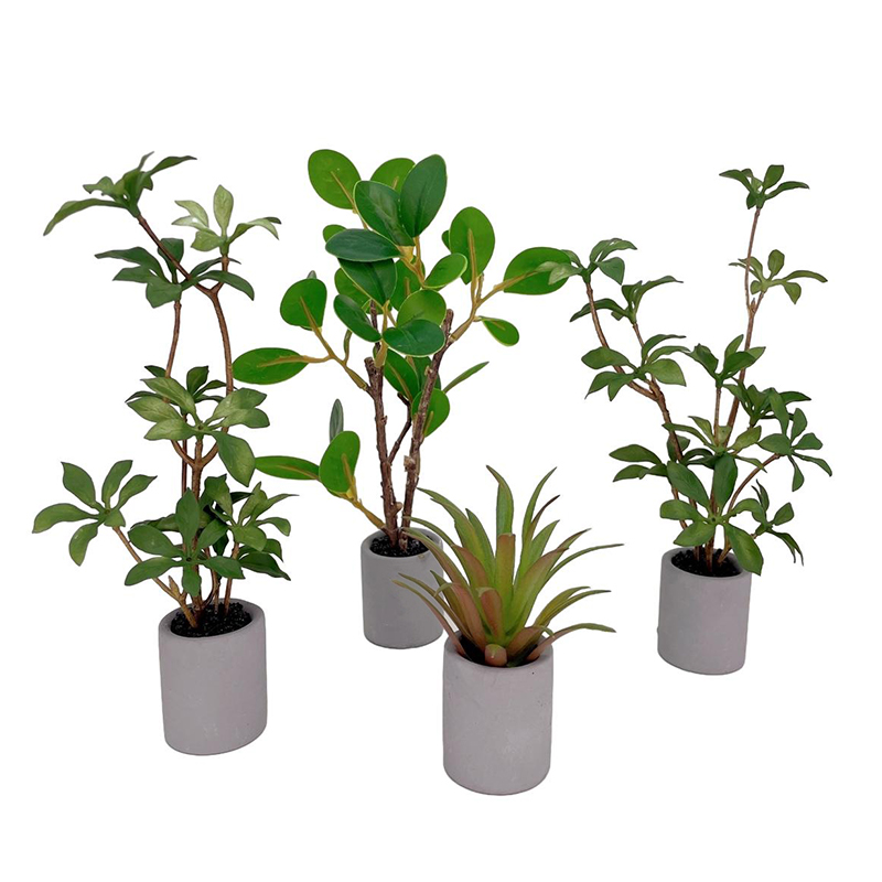 1:6 Dollhouse Miniature Potted - Bonsai Garden Pot 评论和价格