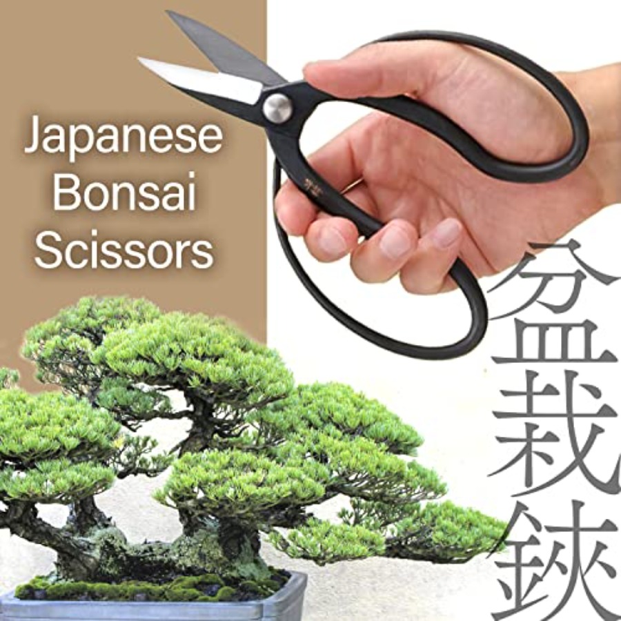 Japanese Suiryu Bonsai Scissor - Bonsai Garden Japan 评论和价格