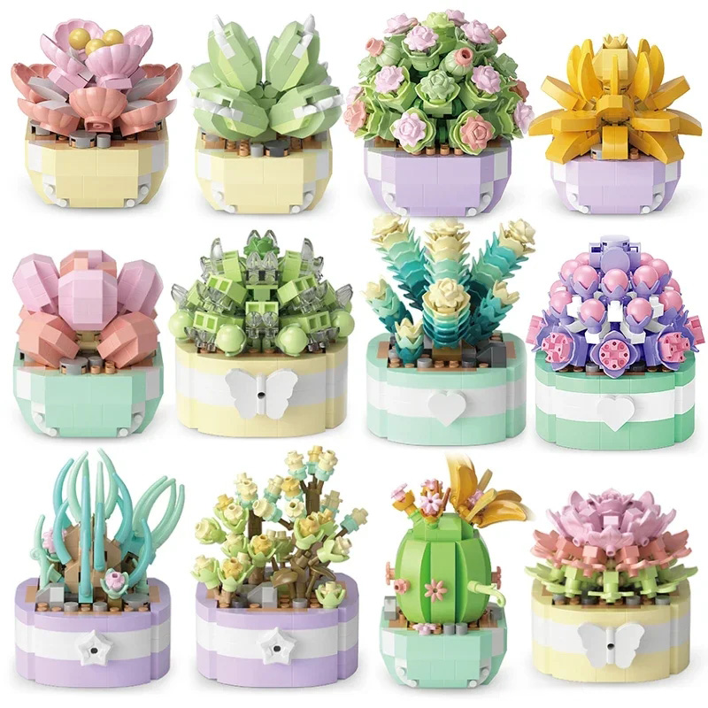 Flower Succulents Building Blo - Bonsai Garden Pot 评论和价格