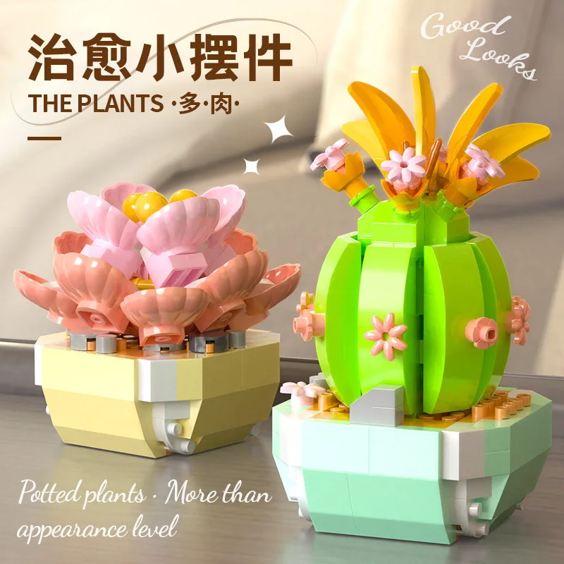 Flower Succulents Building Blo - Bonsai Garden Pot 评论和价格