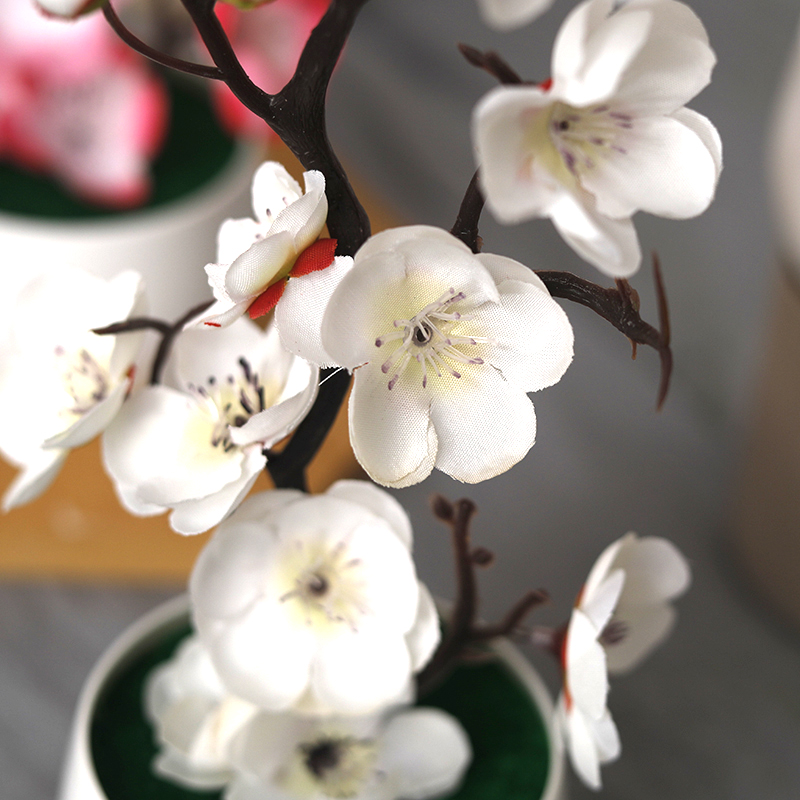 Christmas Fake Green PE Pine B - Bonsai Garden Wall 评论和价格