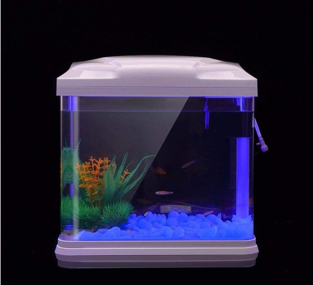Fish Tank Rocks Glow Blue Pebb - Bonsai Garden Pot 评论和价格