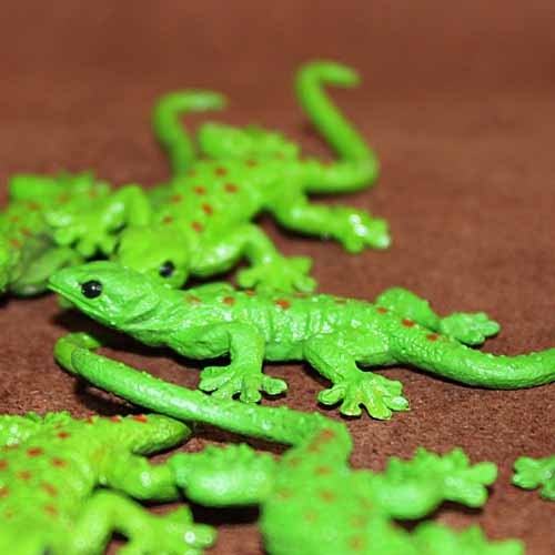 Simulation Lizard Reptile Anim - First Bonsai Garden 评论和价格