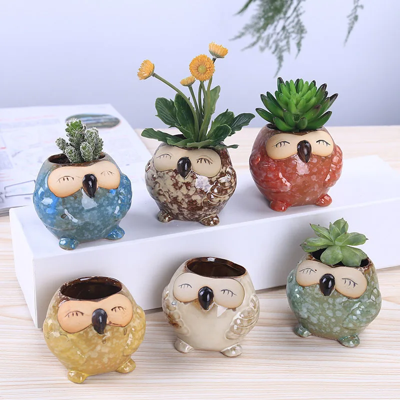 Mini Ceramic Owl Succulent Pla - Bonsai Garden Wall 评论和价格