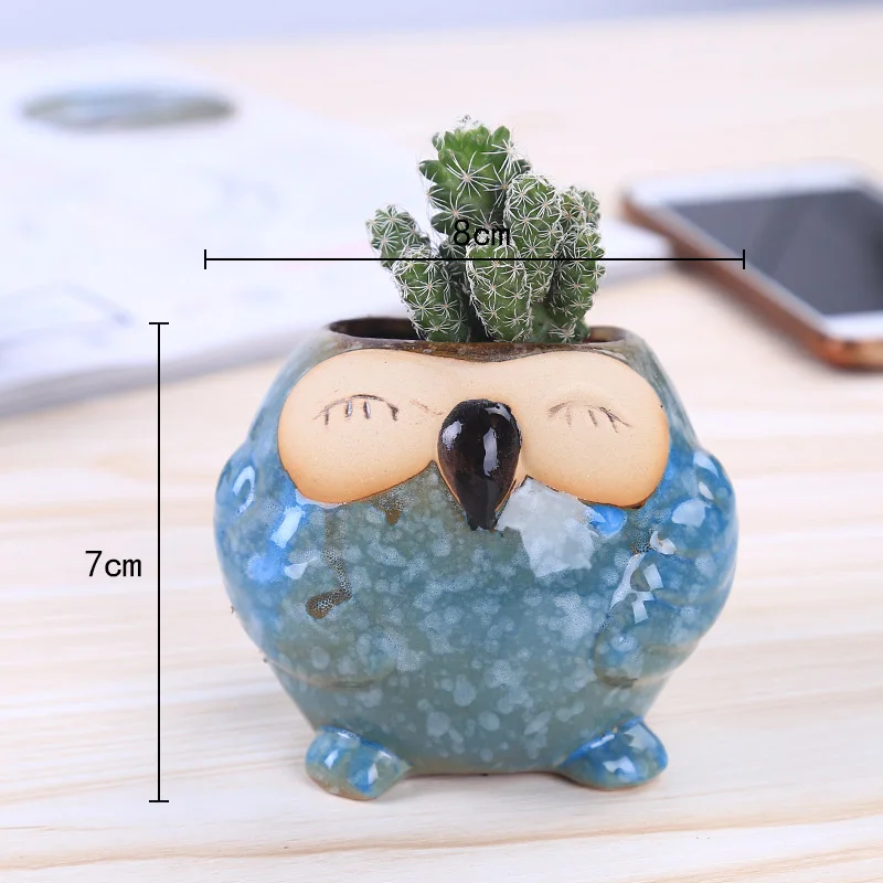 Mini Ceramic Owl Succulent Pla - Bonsai Garden Wall 评论和价格