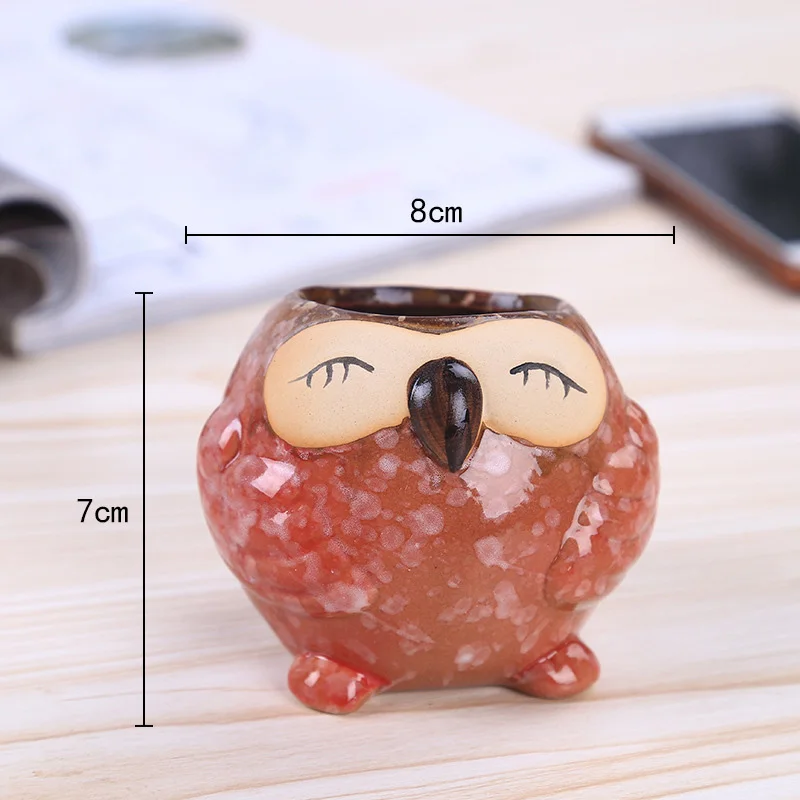 Mini Ceramic Owl Succulent Pla - Bonsai Garden Wall 评论和价格