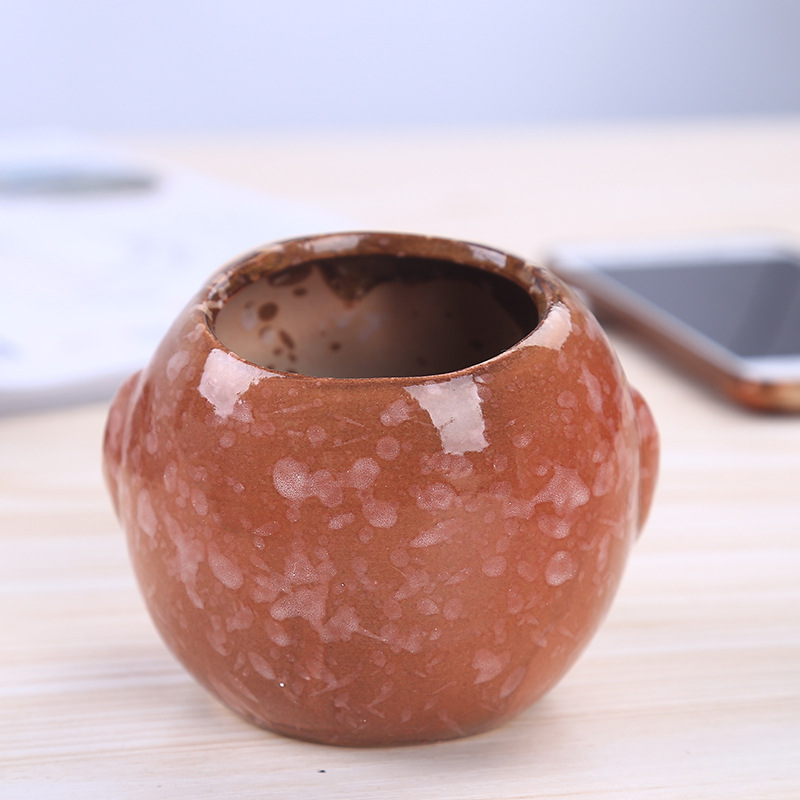 Mini Ceramic Owl Succulent Pla - Bonsai Garden Wall 评论和价格