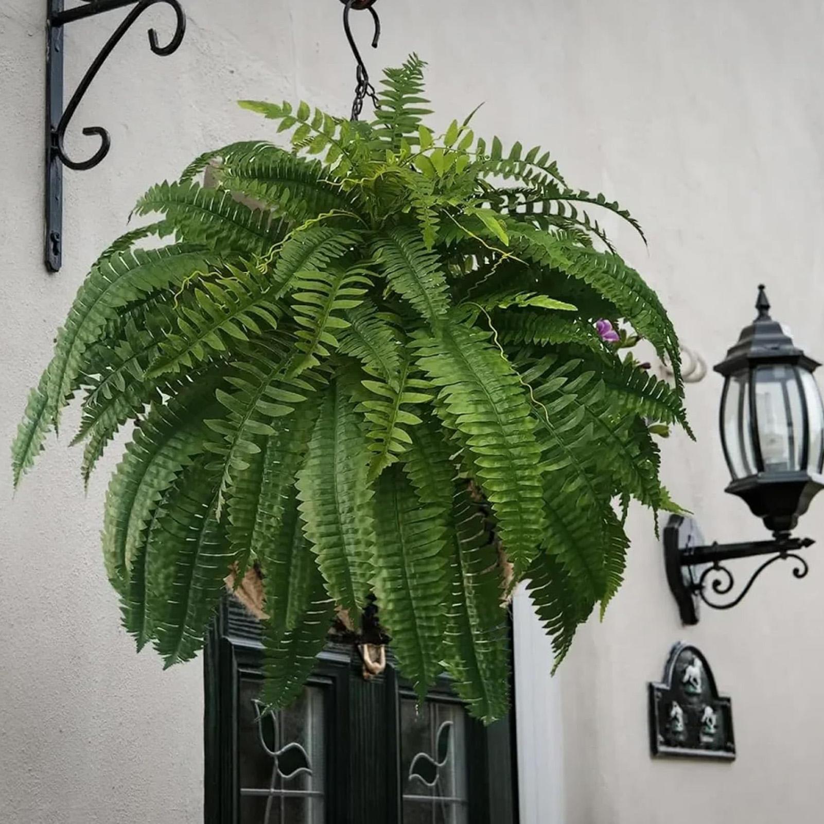 Artificial Boston Fern Fake Pl - Bonsai Garden Boston 评论和价格
